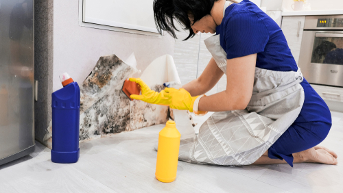 The Unexpected Symptoms of Mold Exposure
